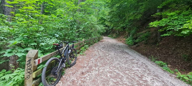 Braov Bike Exploration: Scenic Routes & Local Flavors - The Sum Up