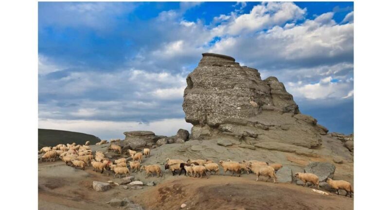 Braov: Carpathian Mountains Guided Hike with Pickup - Exploring the Varied Landscapes of the Carpathians from Braov