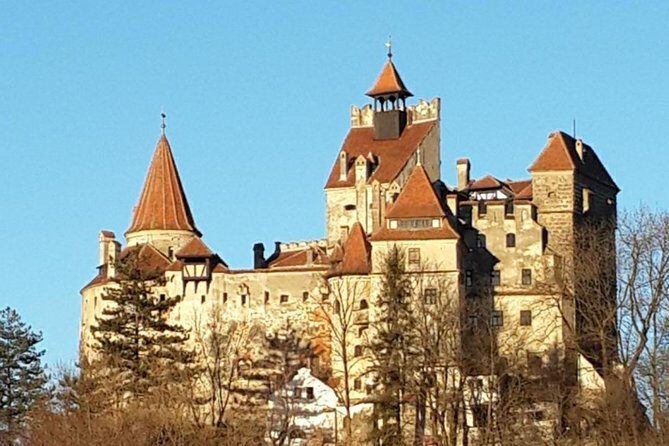 Brasov: Bear Sanctuary, Bran Castle & Rasnov Fortress GUIDED Tour - What’s Included and What’s Not