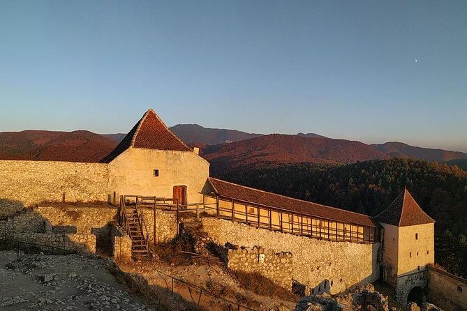 Brasov: Bear Sanctuary, Bran Castle & Rasnov Fortress GUIDED Tour - Who is This Tour Best For?