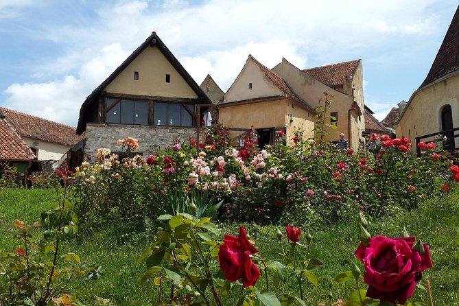 Brasov: Bear Sanctuary, Bran Castle & Rasnov Fortress GUIDED Tour - Final Thoughts