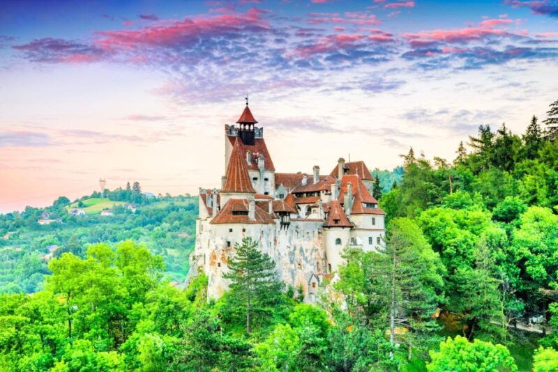 brasov-bear-sanctuary-dracula-castle-and-rasnov-fortress