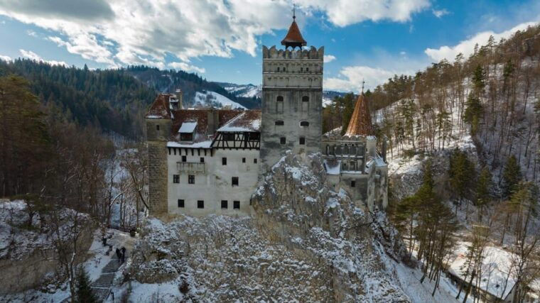 brasov-bear-sanctuary-dracula-castle-and-rasnov-fortress