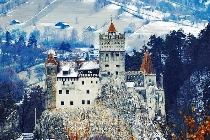 Brasov: Bears Sanctuary, Rasnov Fortress, Bran Castle GUIDED Tour - Practical Details and What to Expect