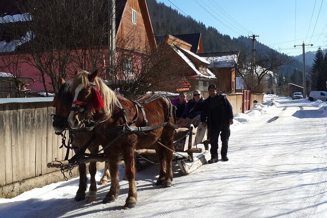 Brasov: Bears Sanctuary, Rasnov Fortress, Bran Castle GUIDED Tour - Who Will Love This Tour?
