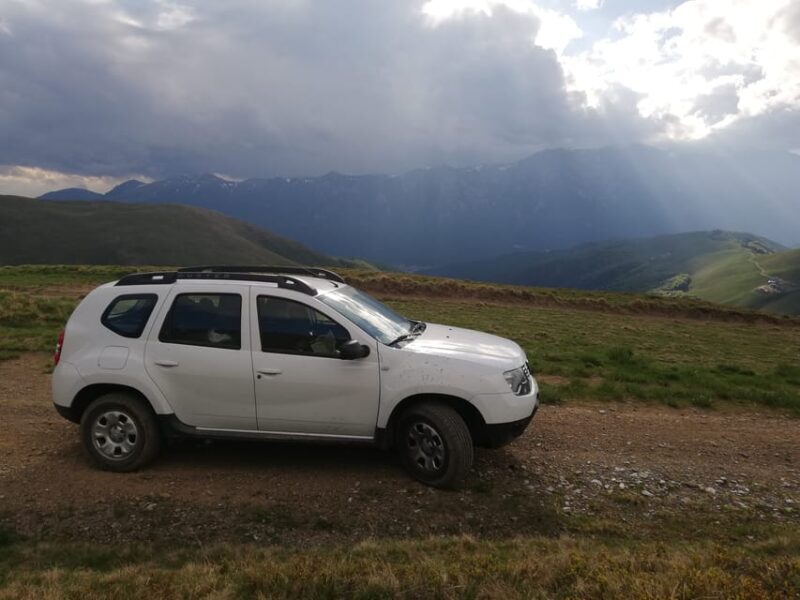 Brasov: Brown Bear & Wildlife Watching - The Sum Up: Is It Worth It?
