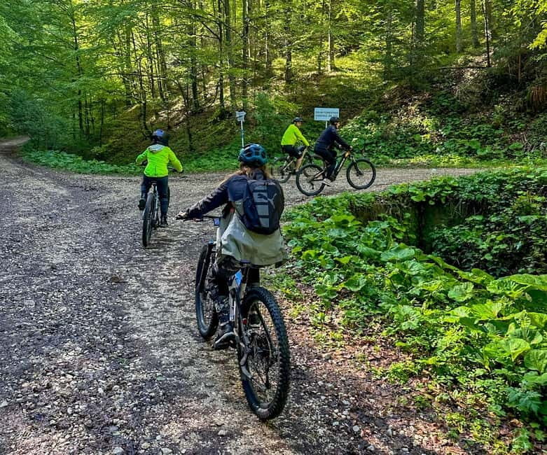 Brasov: eBike Tour to Poiana Brasov (Old Town & Forest) - Key Points
