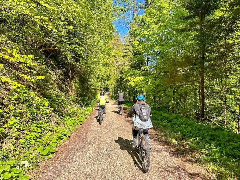 Brasov: eBike Tour to Poiana Brasov (Old Town & Forest) - The Ride Back