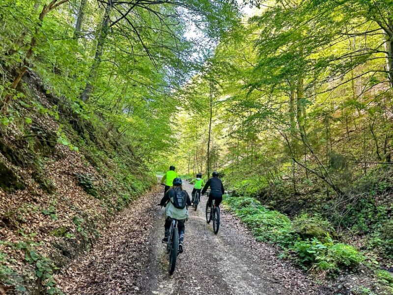Brasov: eBike Tour to Poiana Brasov (Old Town & Forest) - Why This Tour Is a Great Choice