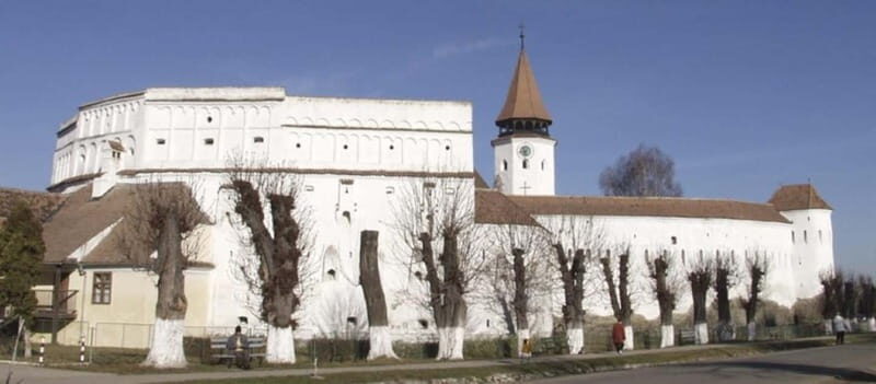 Brasov: Hrman, Prejmer and Feldioara Half-Day Tour - Who Should Take This Tour?