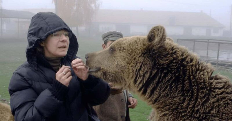 brasov-libearty-bear-sanctuary