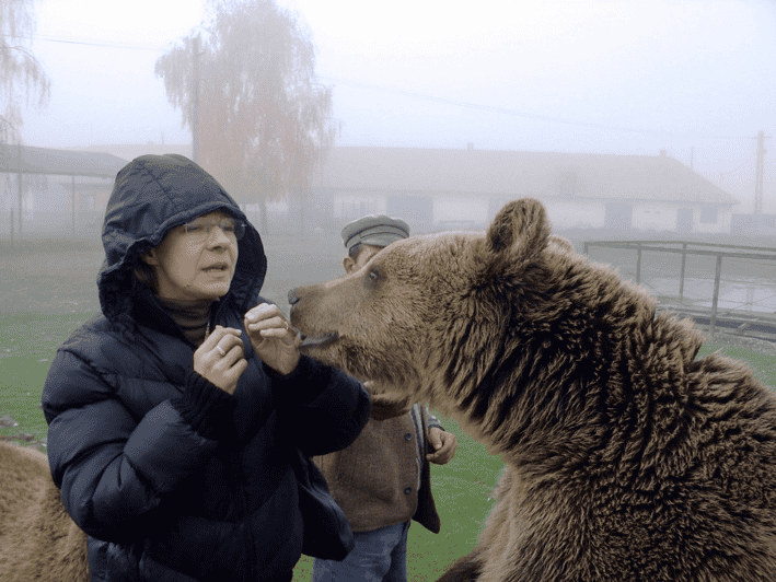 brasov-libearty-bear-sanctuary