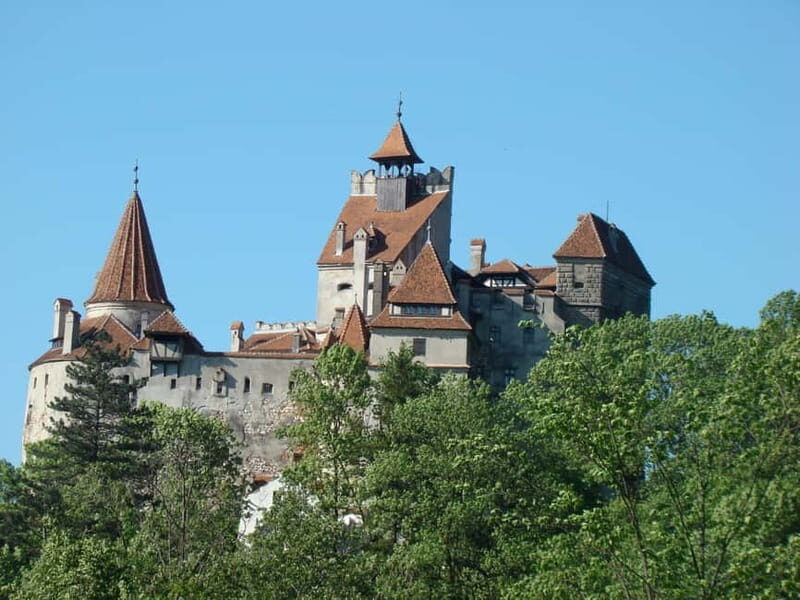 Brasov: Peles, Bran, and Prejmer Castles Day Tour - Who Would Love This Tour?