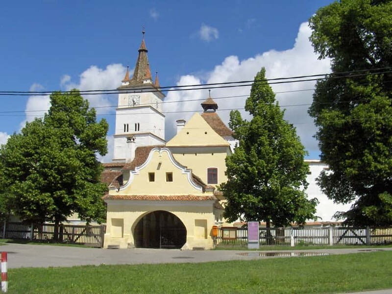 Brasov: Saxon Fortified Churches Day Tour with Guide - Authentic Village Life & Architectural Details