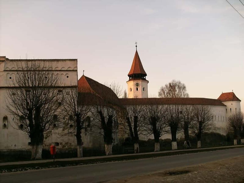 Brasov: Saxon Fortified Churches Day Tour with Guide - The Value of This Tour