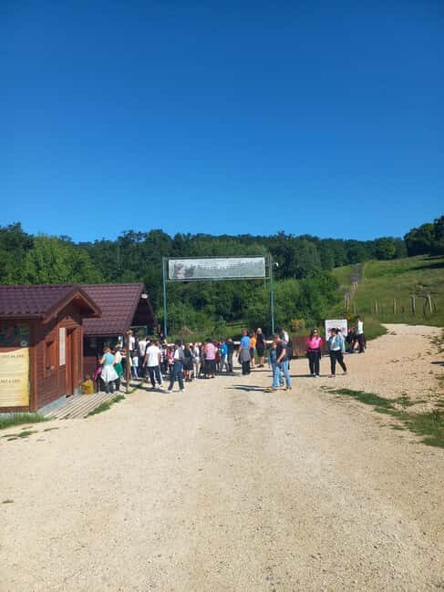 Brasov: Tour with Transfer Libearty Bear Sanctuary - Final Thoughts: Is This Tour Right for You?