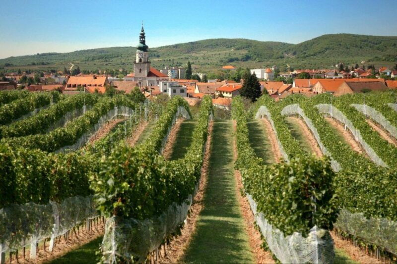 bratislava-65-hour-carpathian-wine-tour-and-tasting