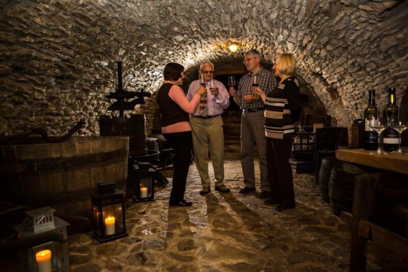 bratislava-65-hour-carpathian-wine-tour-and-tasting