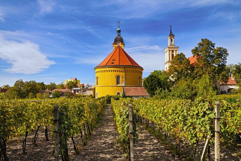 bratislava-65-hour-carpathian-wine-tour-and-tasting