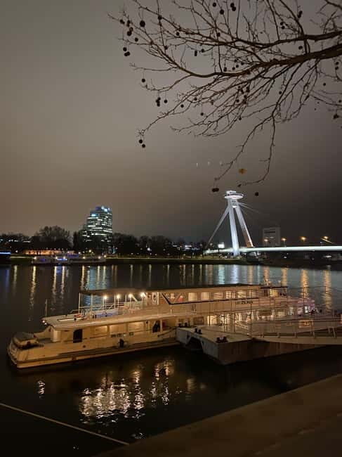 Bratislava: Panorama Cruise on the Danube River - Who Is This Tour Best For?