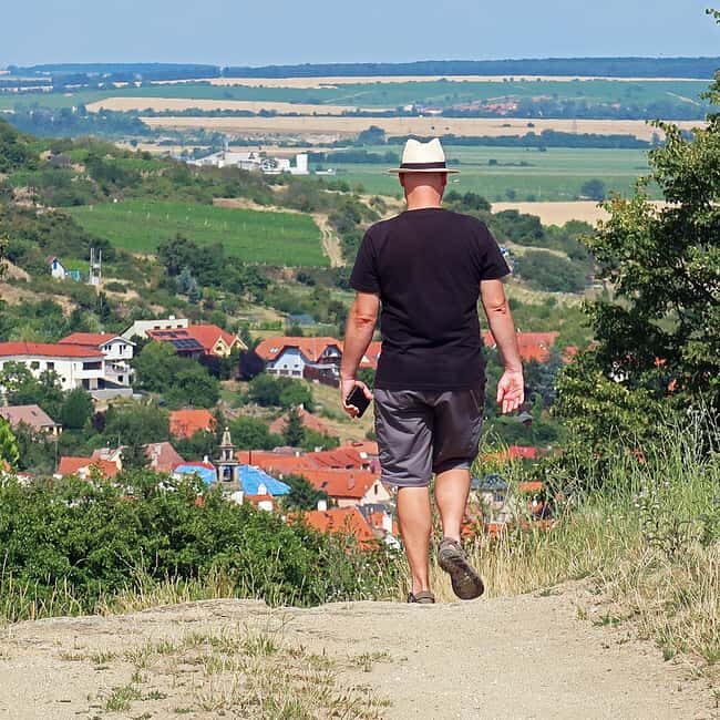Bratislava: Vineyard Walk and Wine Picnic with Winemaker - FAQ
