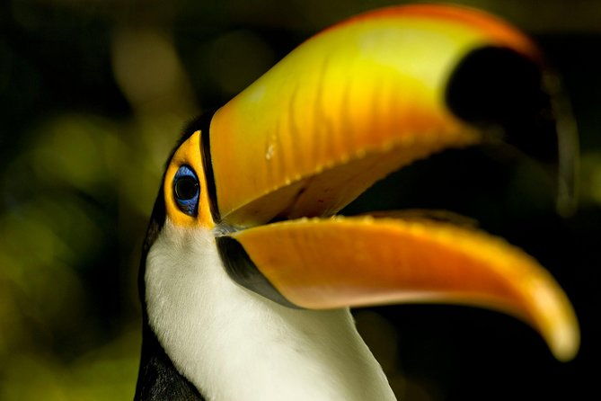 brazil-family-adventure-private-multi-day-tour