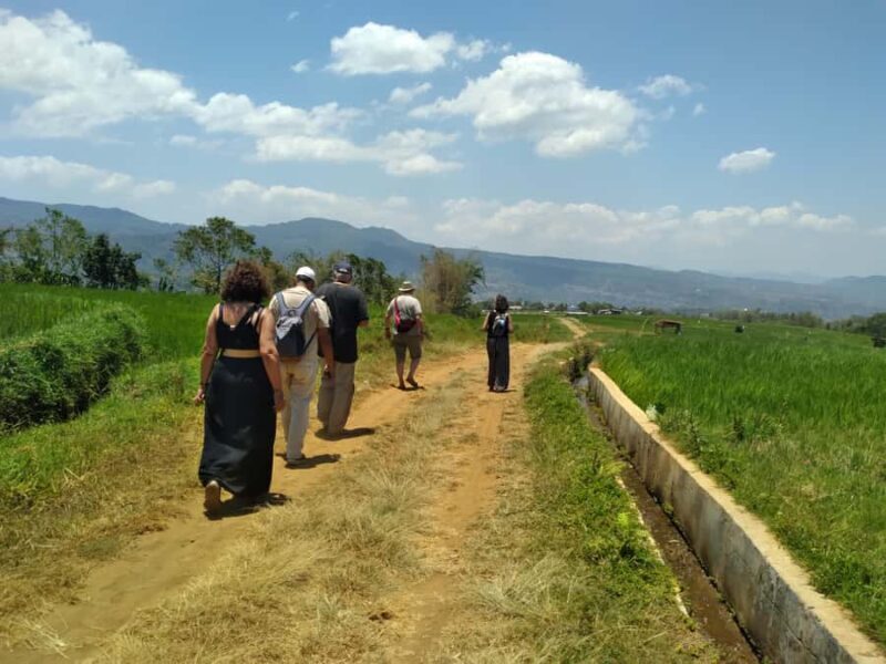 Breathe in Malinos Fresh Air & Explore the Flower City - Breathe in Malino’s Fresh Air & Explore the Flower City