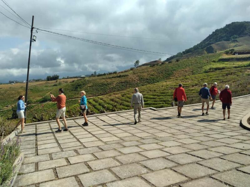 Breathe in Malinos Fresh Air & Explore the Flower City - Authentic Insights from Reviews