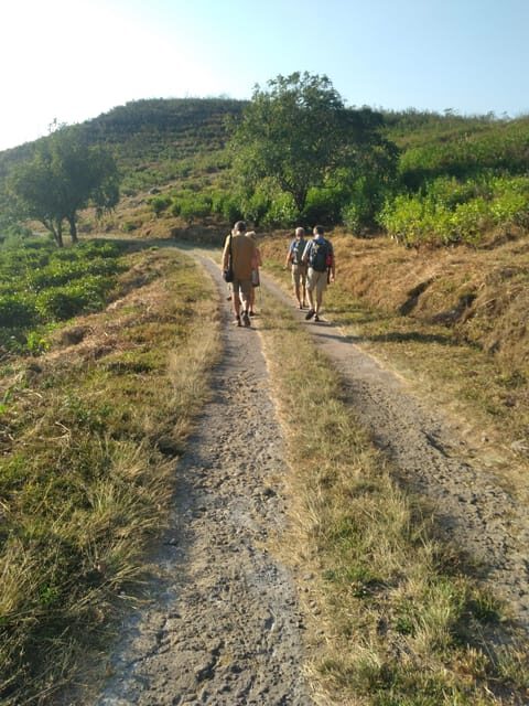 Breathe in Malinos Fresh Air & Explore the Flower City - Who Is This Tour Best For?