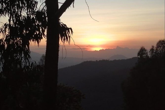 Breathtaking Nature, Wildlife and Cave Church Tour - Free Pickups - Transportation and Duration
