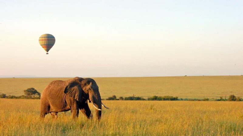 Breathtaking to Lake Manyara National Park Daytrip - Practical Tips and What to Bring