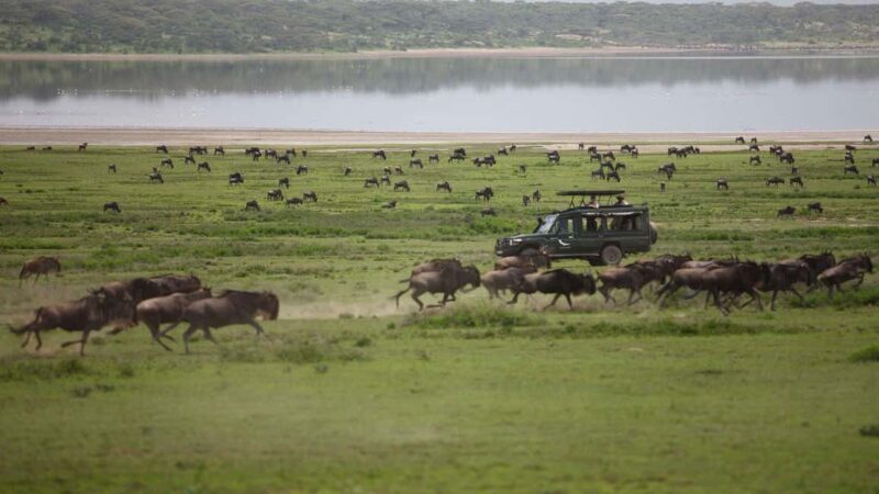 Breathtaking to Lake Manyara National Park Daytrip - Who Will Love This Tour?