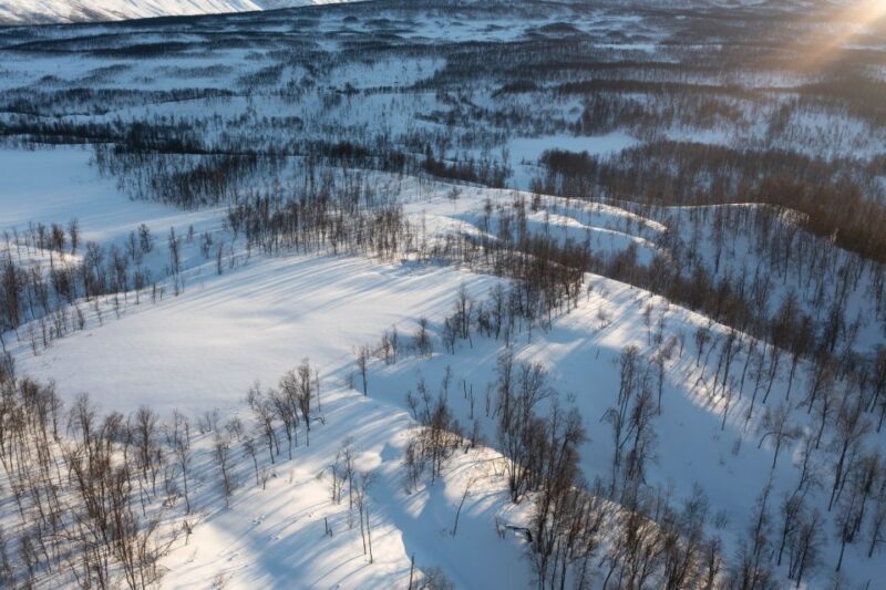 Breivikeidet: Cross-Country Skiing & Husky Visit - Key Points