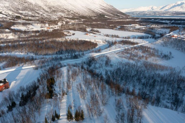 breivikeidet-introduction-to-cross-country-skiing