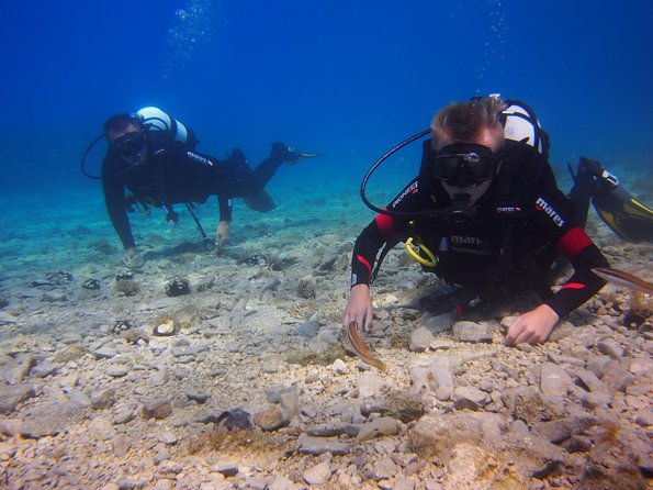 brela-bikini-dive-try-scuba-diving