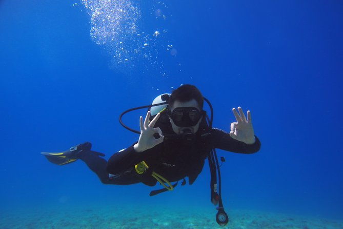 brela-bikini-dive-try-scuba-diving