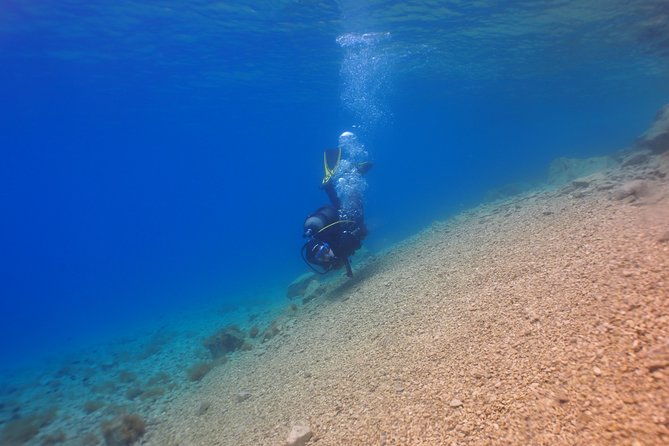 brela-bikini-dive-try-scuba-diving