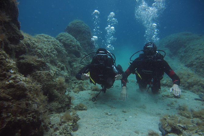 brela-bikini-dive-try-scuba-diving