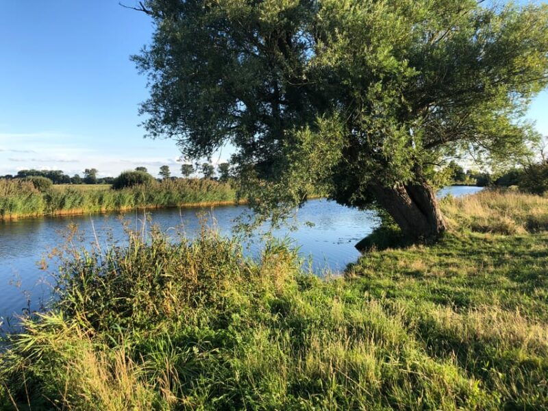 bremen-full-day-kayak-rental-on-the-wumme-river