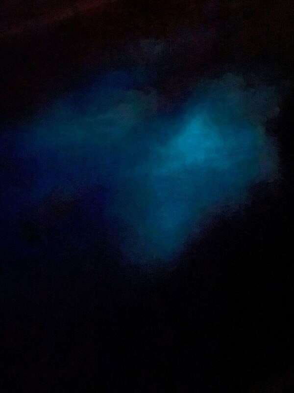 brentwood-bay-bioluminescence-tour