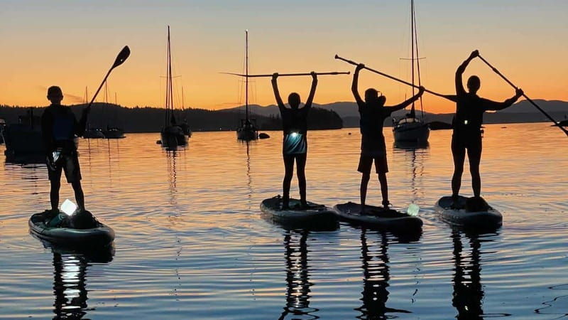 brentwood-bay-bioluminescence-tour