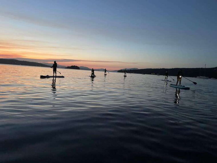 brentwood-bay-bioluminescence-tour