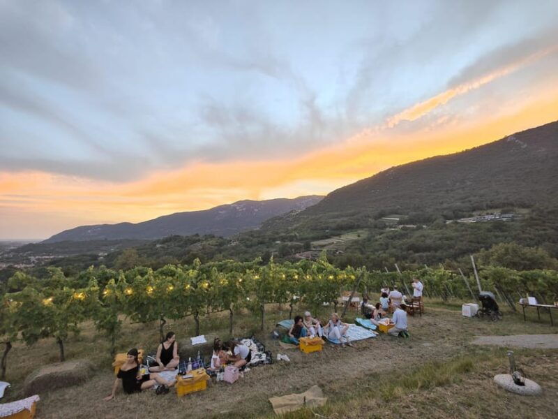 brescia-day-trip-to-botticino-with-wine-tasting-at-noventa-2