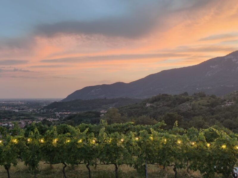 brescia-day-trip-to-botticino-with-wine-tasting-at-noventa