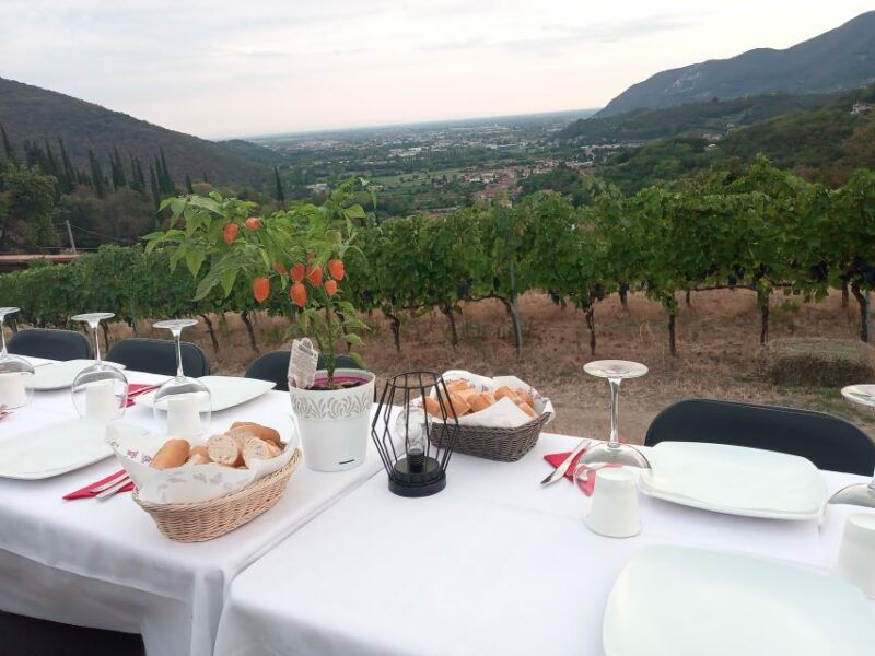 brescia-day-trip-to-botticino-with-wine-tasting-at-noventa