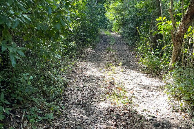 brewers-bay-eco-hiking-tour