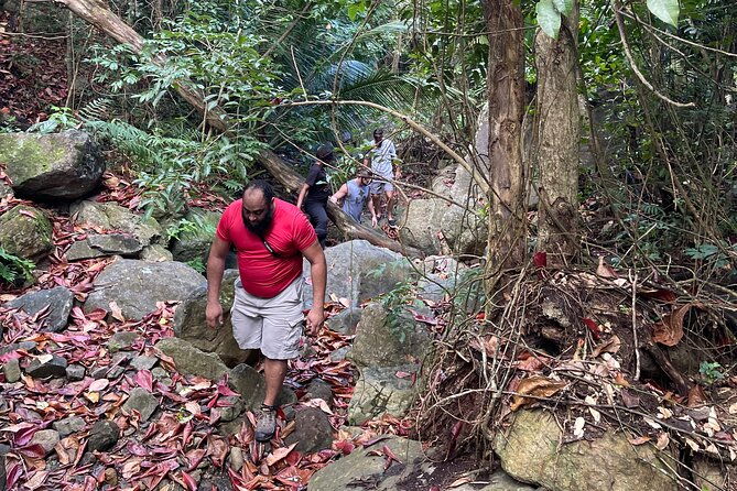brewers-bay-eco-hiking-tour