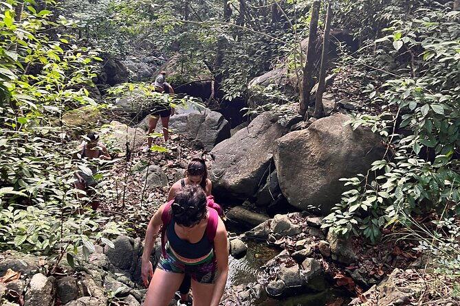 brewers-bay-eco-hiking-tour