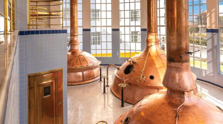 brewery-experience-with-beer-tasting-and-optional-transport