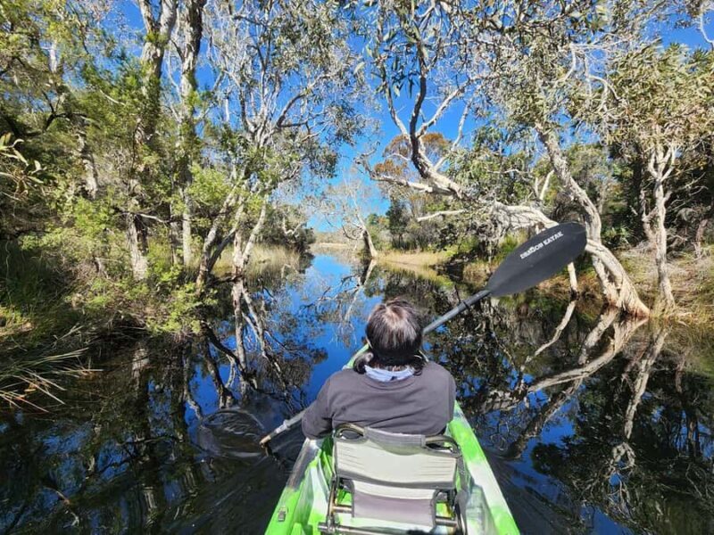 Bribie Island: 4WD, Kayak, and WWII Bunker Tour - Final Thoughts: Who Is This Tour Best For?